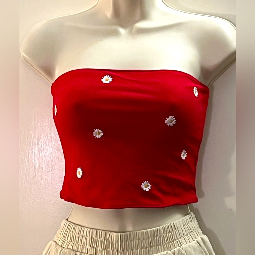 Red Hollister top